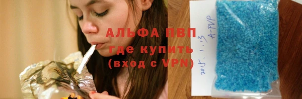гашик Аркадак