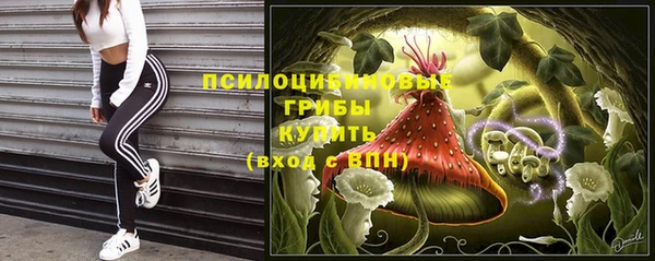 ALPHA-PVP Баксан