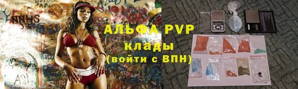 дживик Пионерский